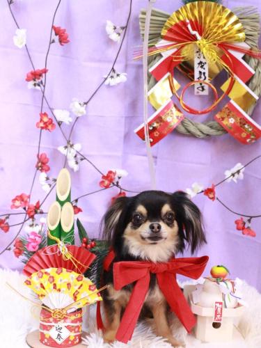 20230118ミスタくん